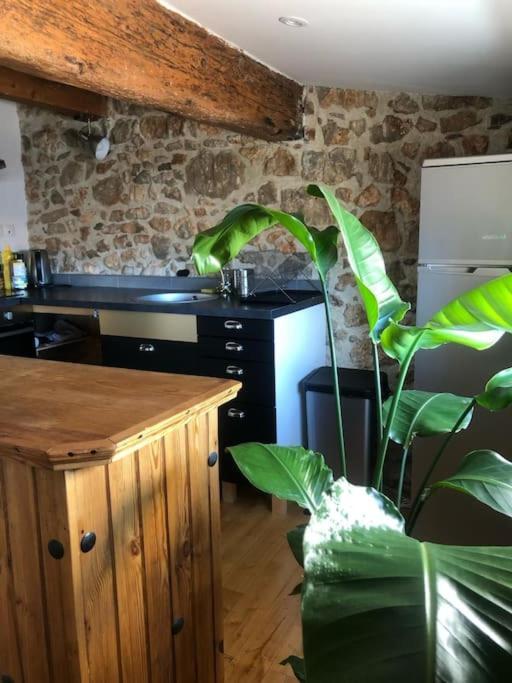 Le Loft Cosy - Centre - Cadre Royal Apartment *