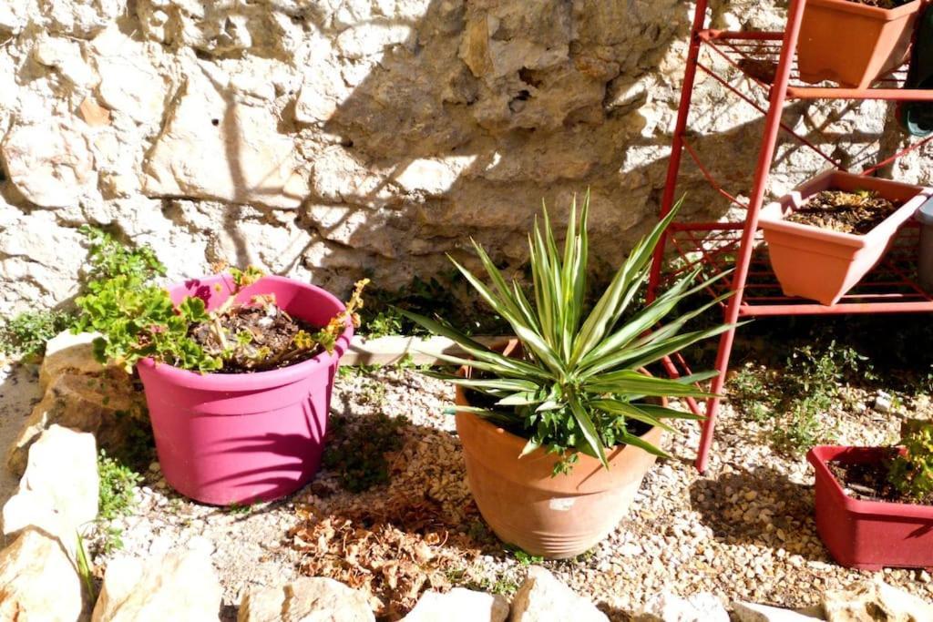 Apartment Le Loft Cosy - Centre - Cadre Royal Sete